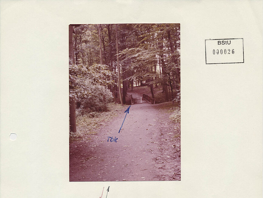 Blatt mit zwei Fotos aus dem Waldgebiet Lührmannwald in Essen. Oben ist die Brücke zu sehen, unter der sich der Tote Briefkasten befindet. Unten ein Waldweg.