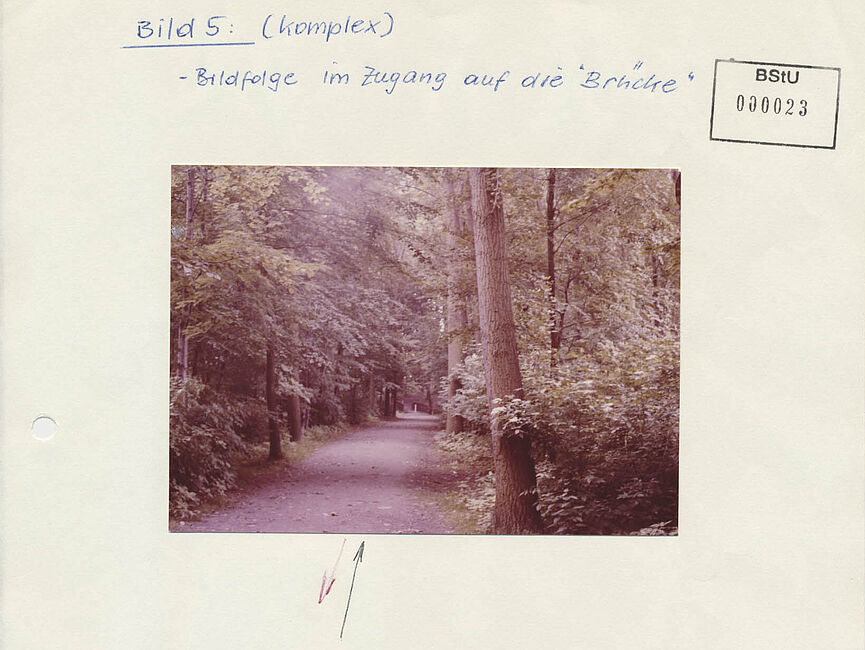 Blatt mit zwei Fotos eines Wegs im Waldgebiet Lührmannwald in Essen. Im unteren Bild ist im Hintergrund die Brücke zu erkennen, unter der sich der Tote Briefkasten befindet.