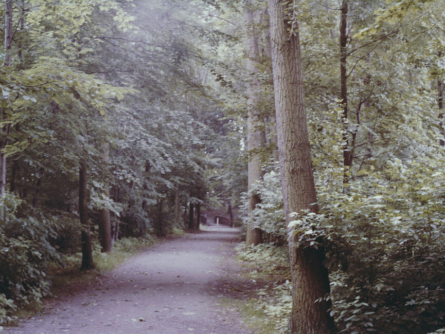 Stasi-Bildbericht zum TBK "Brücke" im Essener Lührmannwald, November 1985