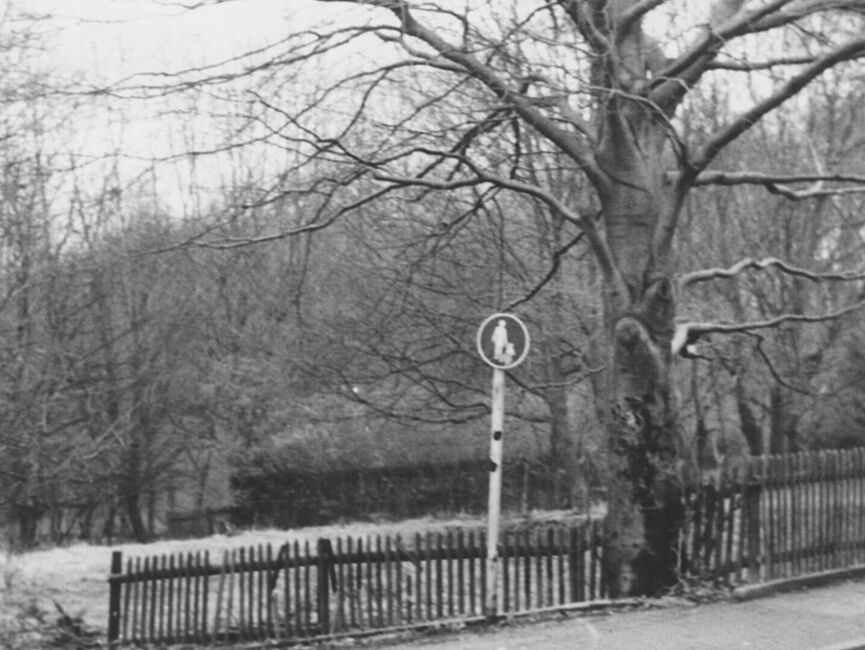 Stasi-Bildbericht zum TBK "Brücke" im Essener Lührmannwald, November 1985
