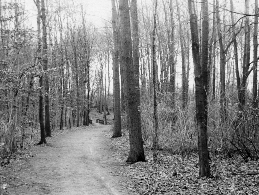 Stasi-Bildbericht zum TBK "Brücke" im Essener Lührmannwald, November 1985