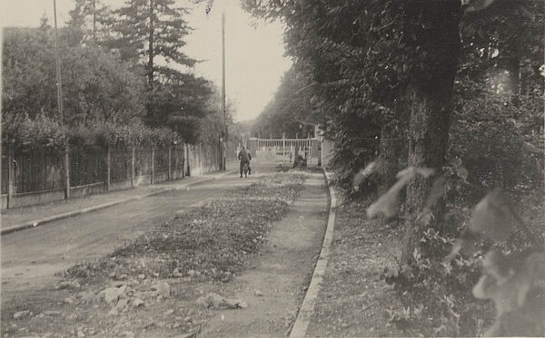 Blick eine Schotter-Straße in schlechtem Zustand hinunter. Sie ist von beiden Seiten von Zäunen umgeben. Im Hintergrund ist ein geschlossenes Einfahrtstor zu sehen.